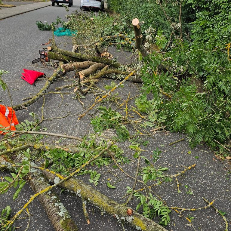 Beseitigung von Sturmschäden